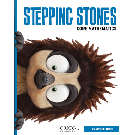 Stepping Stones 2nd Edition Student Practice Book 6