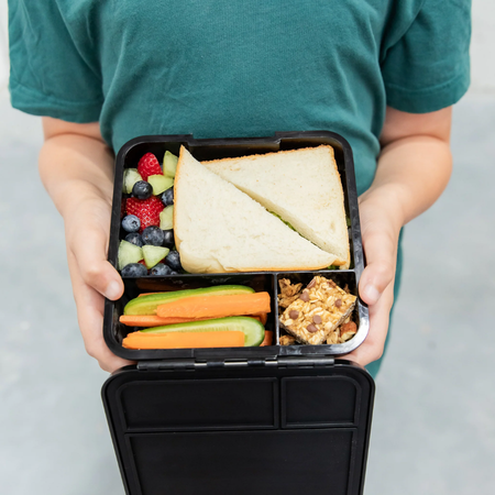 Bento Lunch Box MontiiCo Three Dinosaur Land