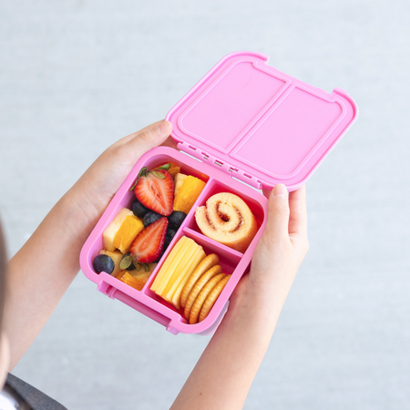 Bento Snack Box MontiiCo Two Floss