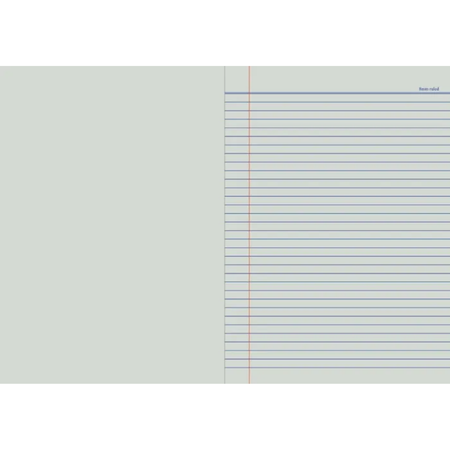 Botany Book Splash A4 8mm Ruled 96pg