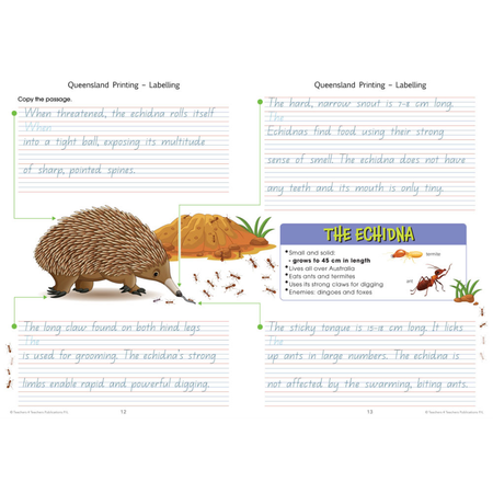 Connected Handwriting Queensland Book 4