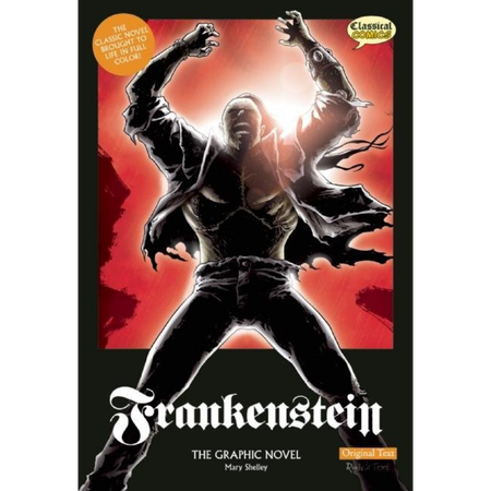 Frankenstein The Graphic Novel: Original Text