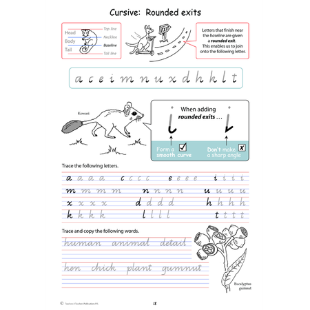Handwriting Conventions QLD Year 4