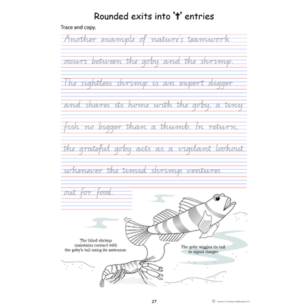 Handwriting Conventions QLD Year 5