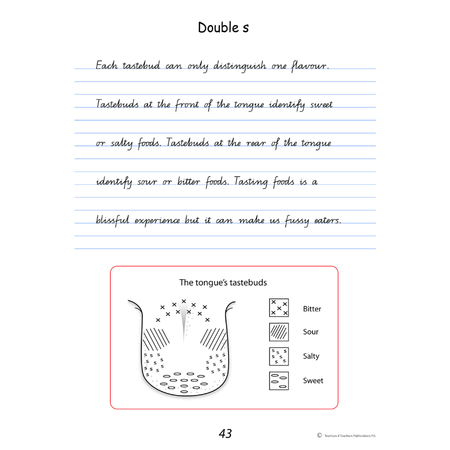 Handwriting Conventions QLD Year 6