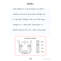 Handwriting Conventions QLD Year 6