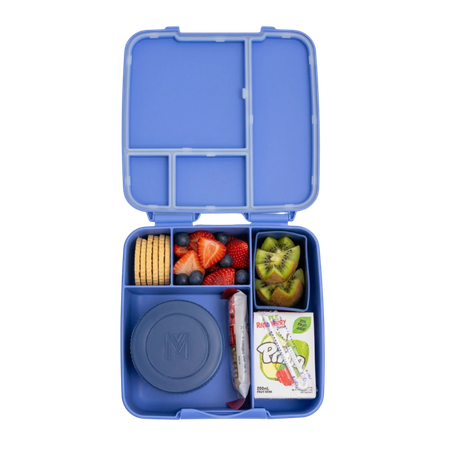 MontiiCo Bento Feast Lunch Box Splash