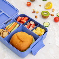 MontiiCo Bento Feast Lunch Box Splash