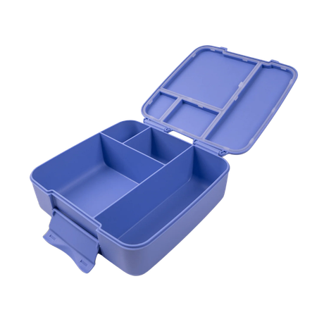 MontiiCo Bento Feast Lunch Box Splash