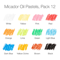 Oil Pastels Micador Standard Pack 12