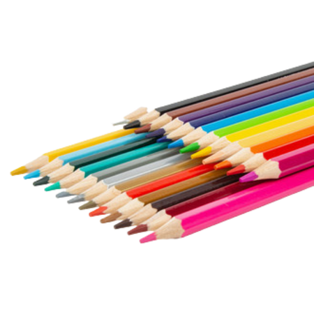 Pencil Coloured Micador Pack 24