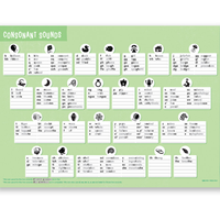 Sound Waves Literacy Extended Student Chart