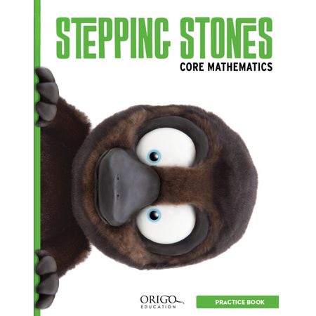 Stepping Stones 2nd Edition Student Practice Book 4