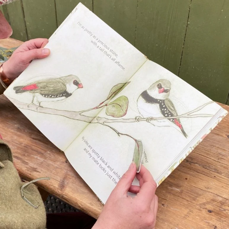 The Bush Birds