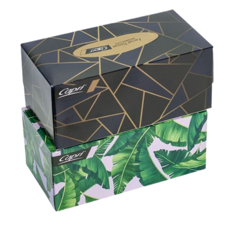 Facial Tissues 2-Ply Pack 200 Carton 24