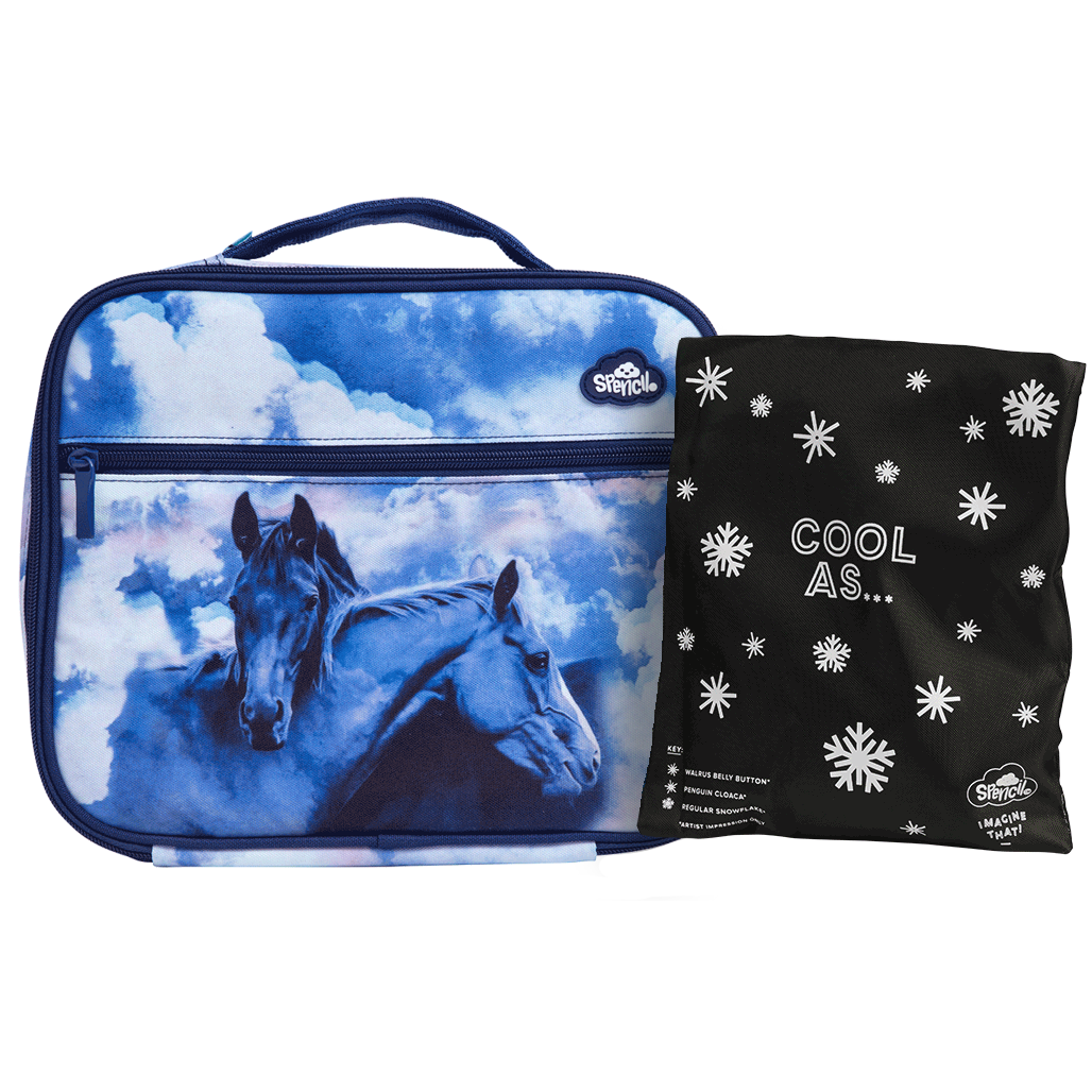 Lunch Box Spencil Big Cooler Bag + Big Chill Pack Sky Dancer