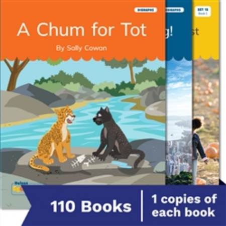 Nelson Decodable Readers Sets 15-20 + Supplemental pack 1ea x 110 Titles