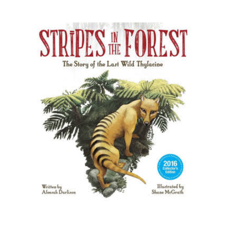 Stripes In The Forest